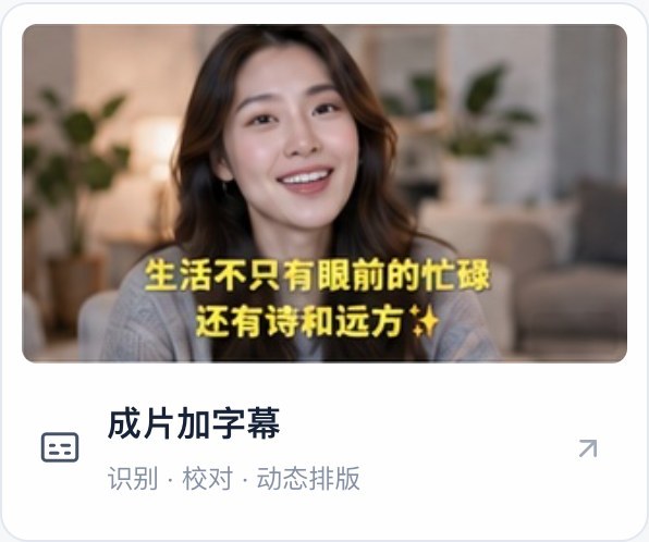成片加字幕模板展示